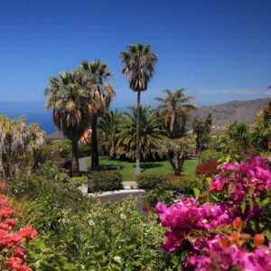 Lees meer over het artikel Bungalows Palma Jardin