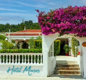 Lees meer over het artikel Hotel Muses