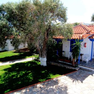 Lees meer over het artikel Appartementen White Rock