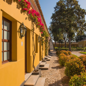 Lees meer over het artikel Eco Hotel Vila Gale Albacora