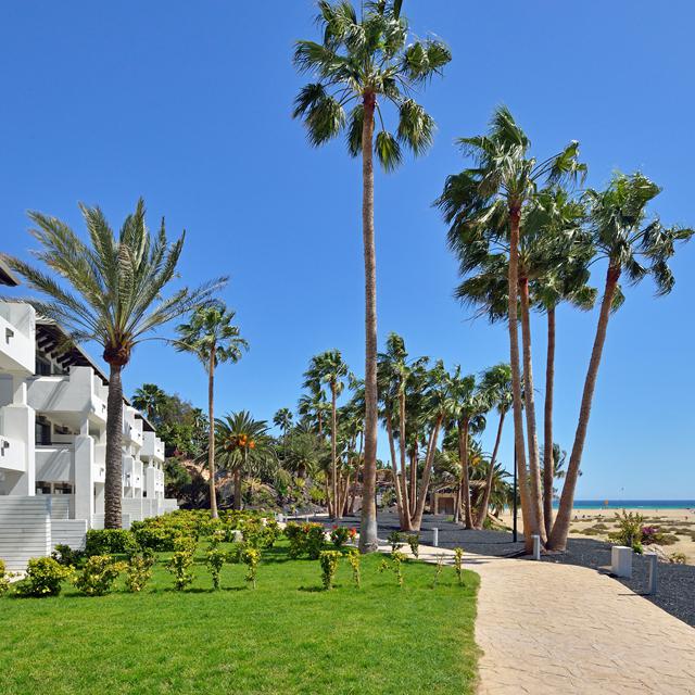Je bekijkt nu Zel by Meliá Fuerteventura