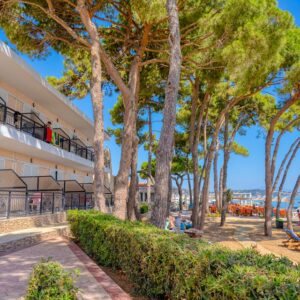 Lees meer over het artikel Appartementen Castello Beach